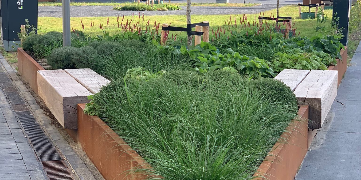 WhatsApp Image 2022-07-12 at 11.30.28 AM